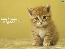 SI, TES TROP MIGNON